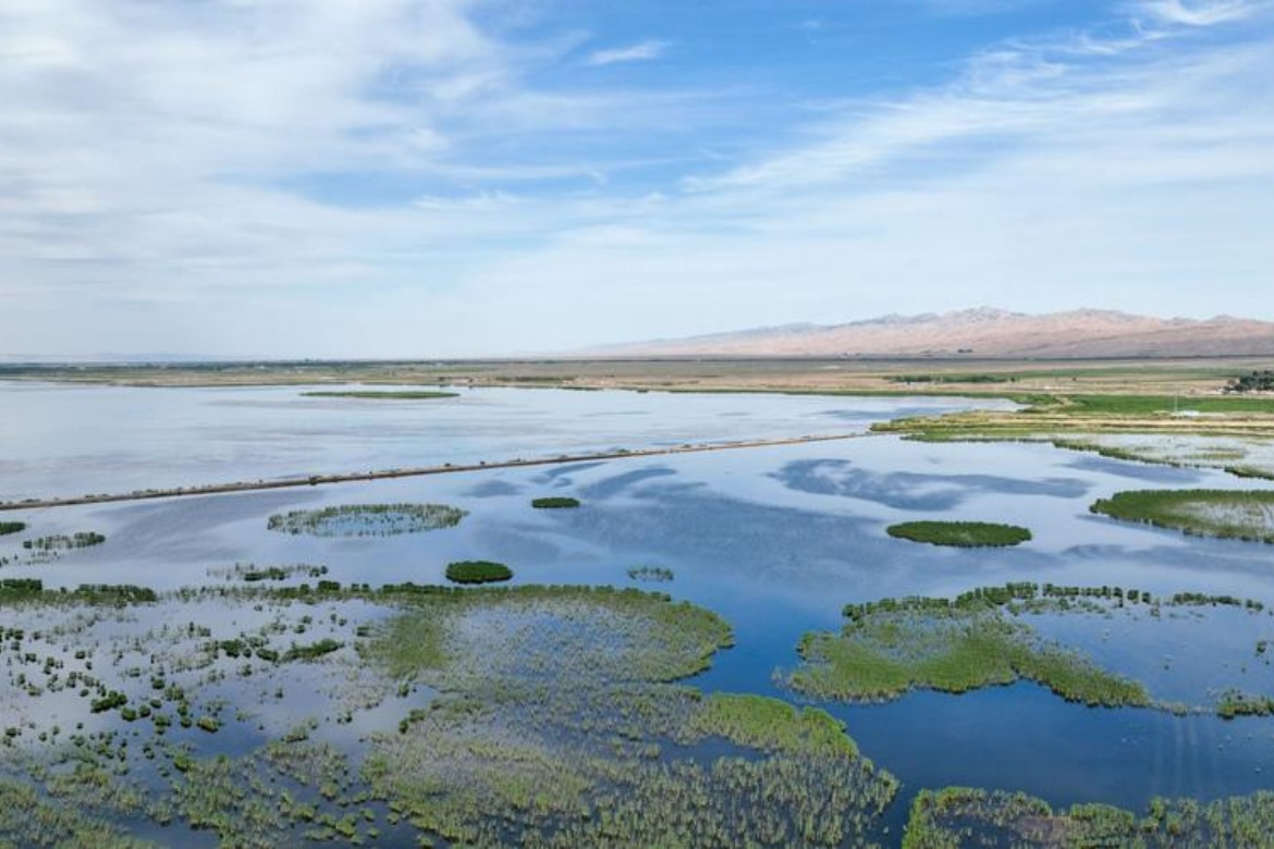 Yellow River Hetao Cultural Tourism Zone Wetland Park